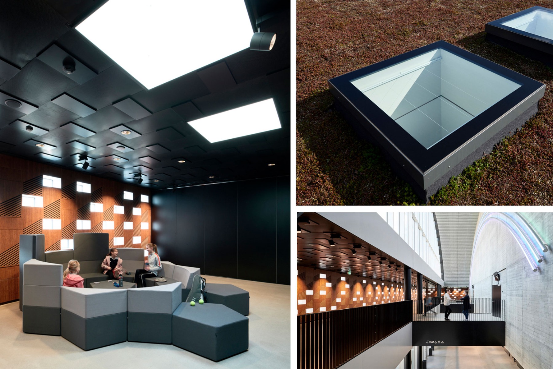 Velux Modular Rooflights sorgen durch punktuelle Belichtung mit Monolights im Sportbau K.B. Hallen in Dänemark immer für die richtige Menge Licht. ©️ Mads Frederik/ Velux Commercial