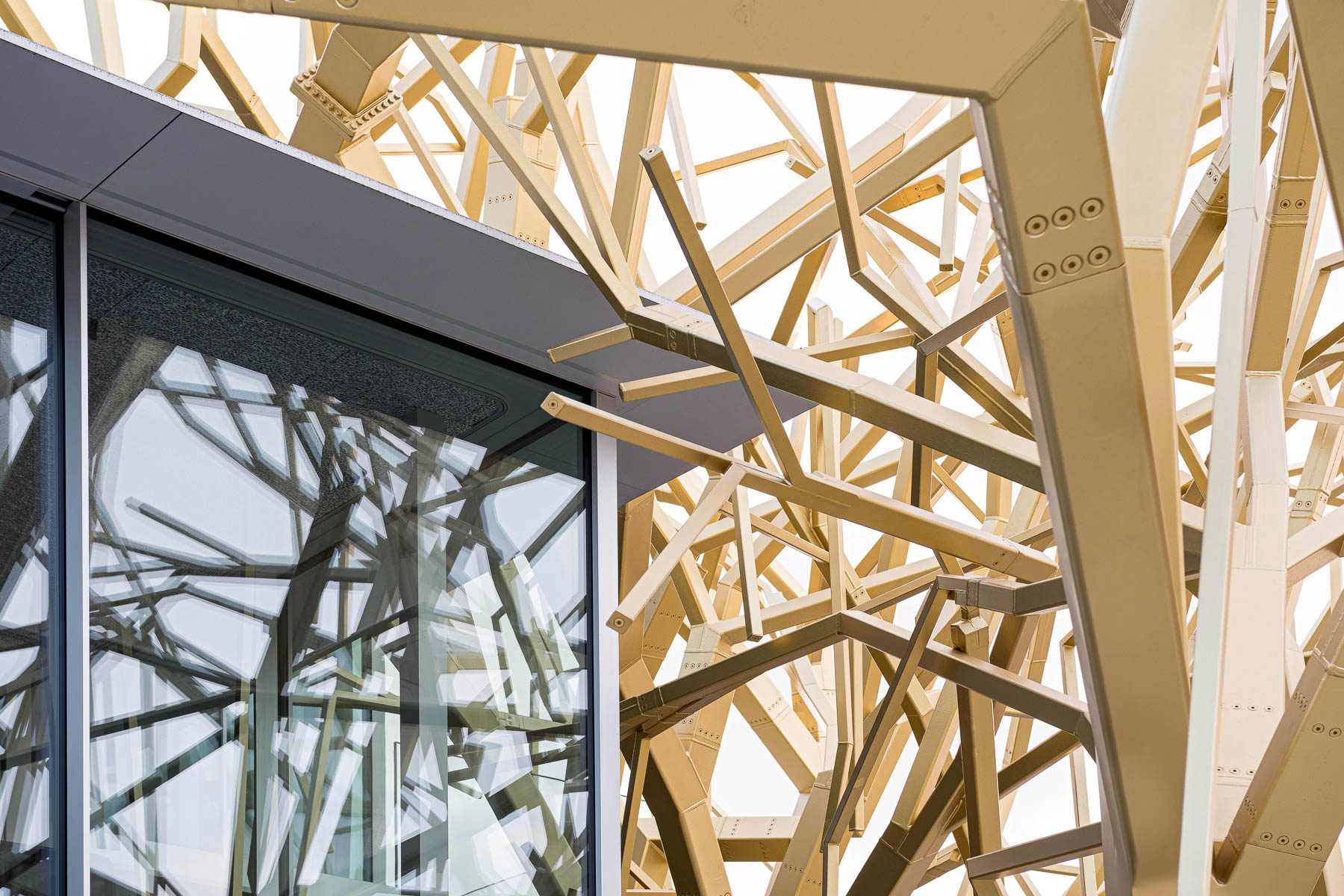 Die goldbeschichteten Bäume aus Stahl verdecken das neue Archivgebäude und bringen Glanz auf den Marktplatz. © Sebastian Kolm Architekturfotografie